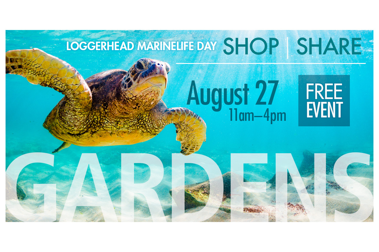 Gardens Mall Veronica DeBoisbriand